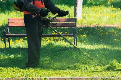 Débroussaillage préventif